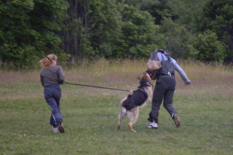 Training in Estonia 6/2007